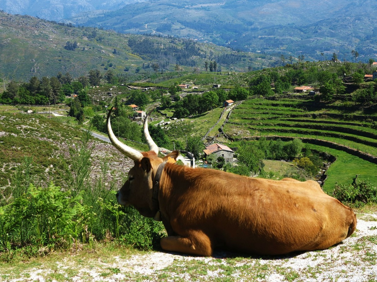 Peneda-Geres National Park